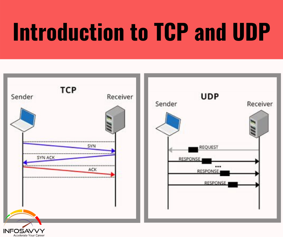 Tcp ip udp basics of investing top forex investing