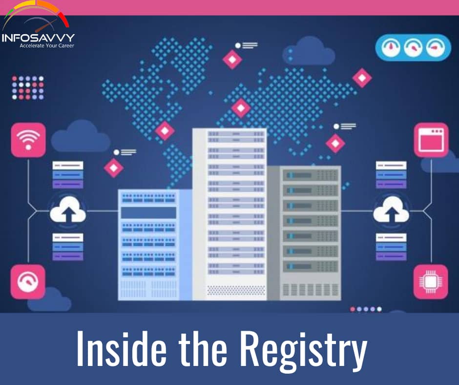 Inside-the-Registry